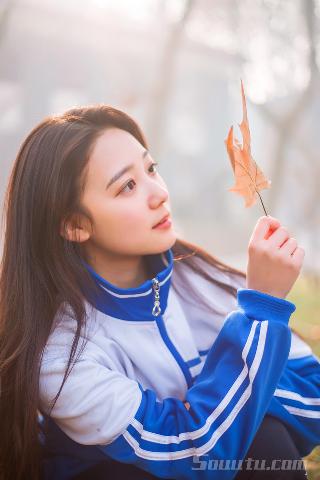 大秦帝国之纵横 电视剧