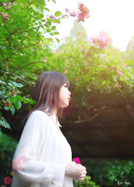 斗破苍穹动漫在线观看完整版免费